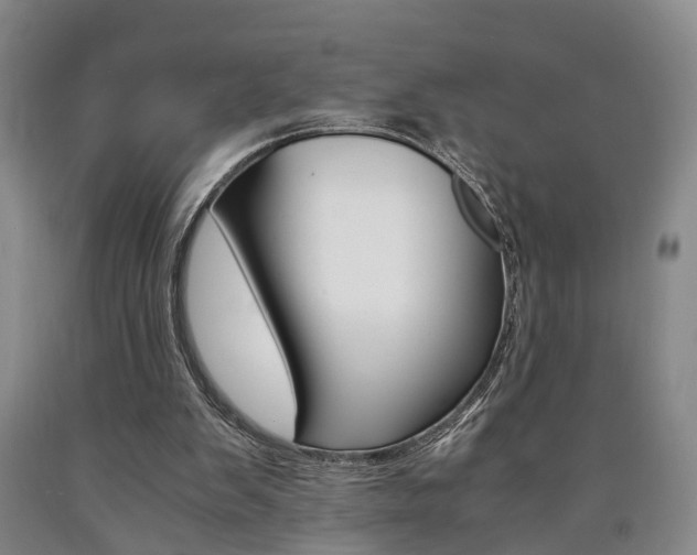 X0000090860103200707270942