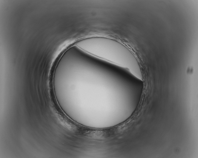 X0000090860104200707270942