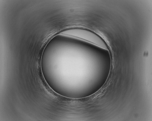 X0000090860105200707270942