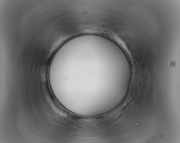 X0000090860106200707270942