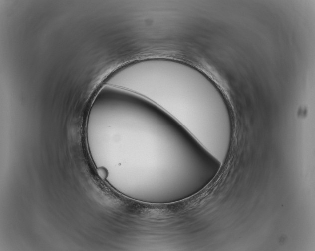 X0000090860107200707270942
