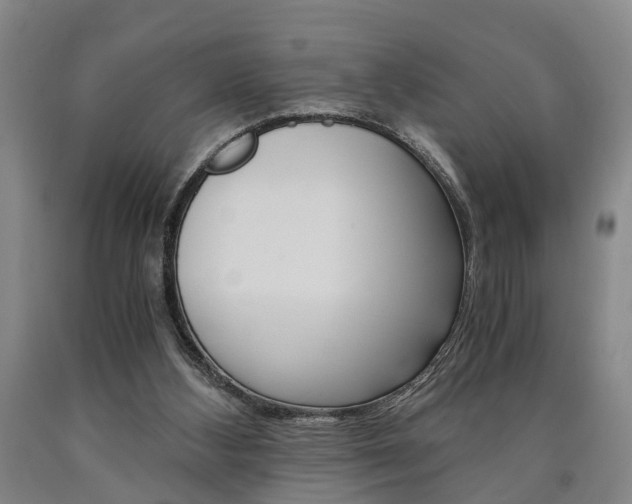 X0000090860108200707270942