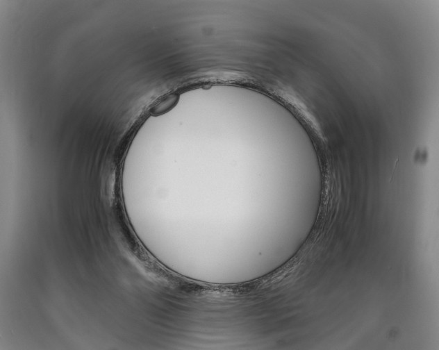 X0000090860110200707270941