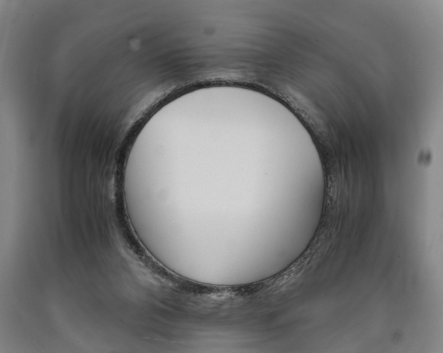 X0000090860112200707270941