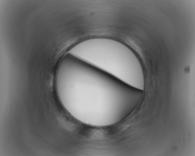 X0000090860115200707270941
