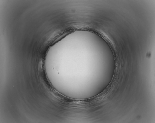 X0000090860117200707270941