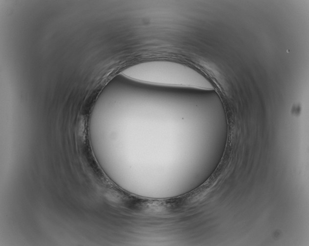 X0000090860121200707270941