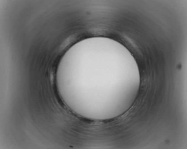 X0000090860124200707270941