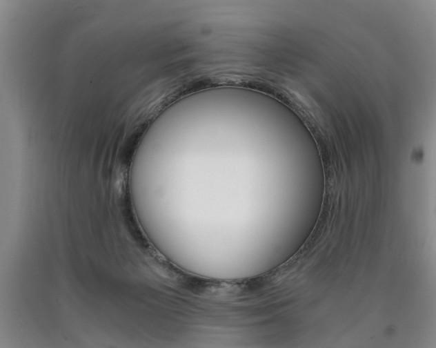 X0000090860125200707270941