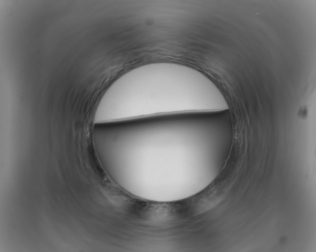 X0000090860127200707270941