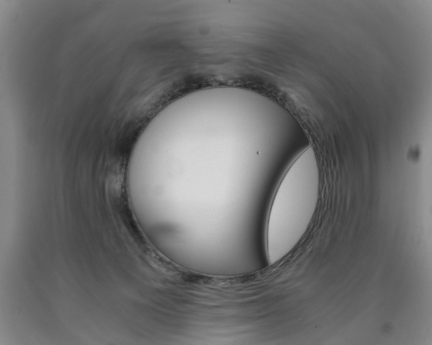 X0000090860129200707270941