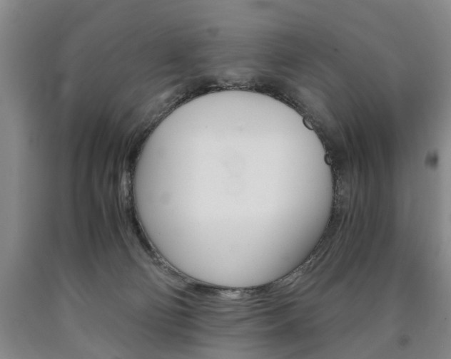 X0000090860130200707270941