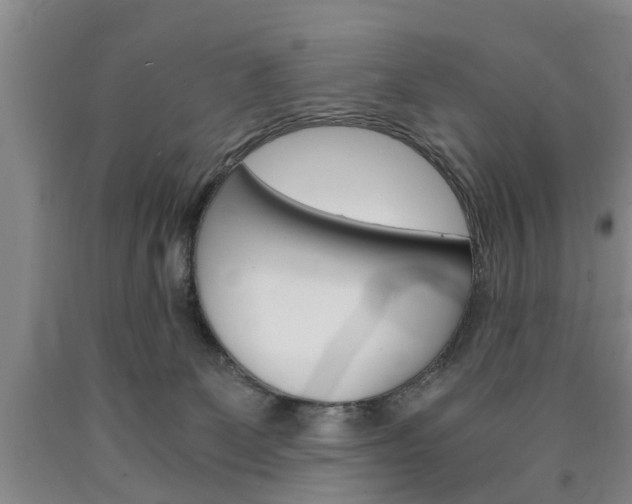 X0000090860131200707270941
