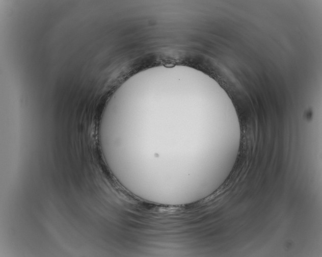 X0000090860134200707270941