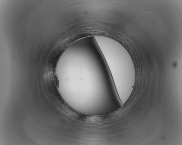X0000090860137200707270941