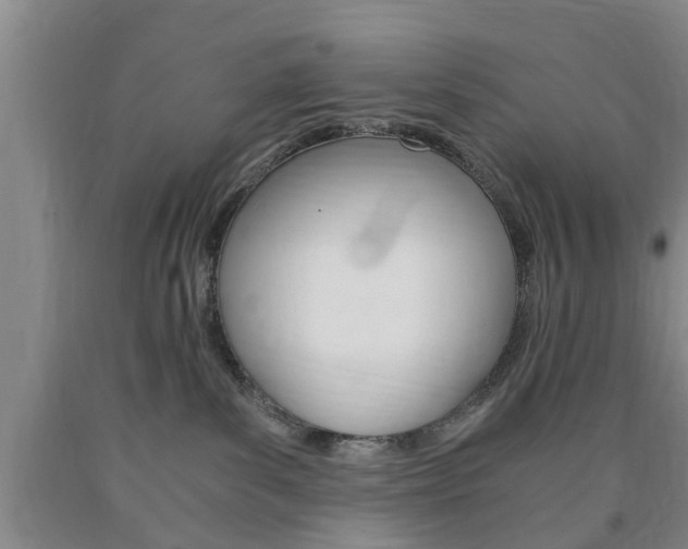 X0000090860139200707270941