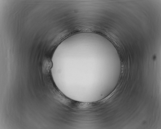 X0000090860142200707270941