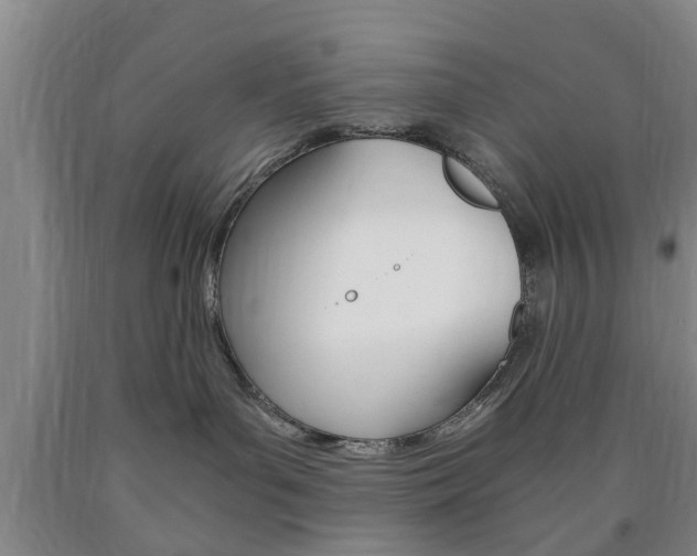 X0000090860143200707270941