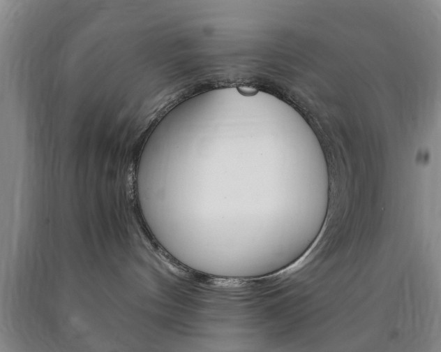 X0000090860144200707270941