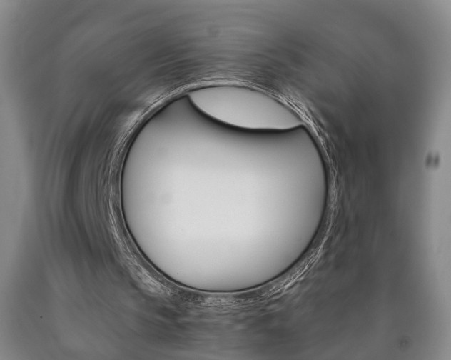 X0000090860145200707270940