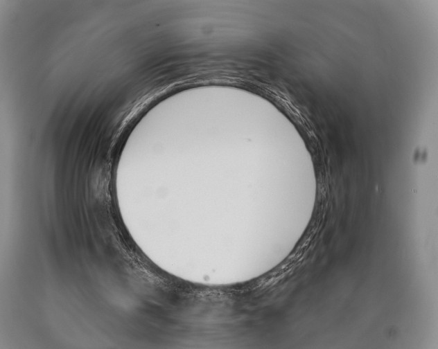 X0000090860146200707270940