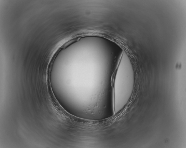 X0000090860148200707270941