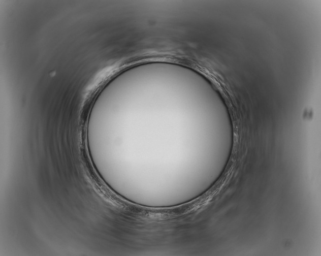 X0000090860149200707270941