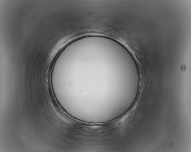 X0000090860151200707270941