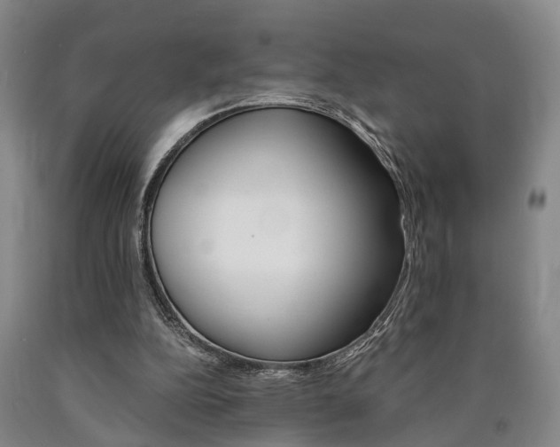 X0000090860152200707270941
