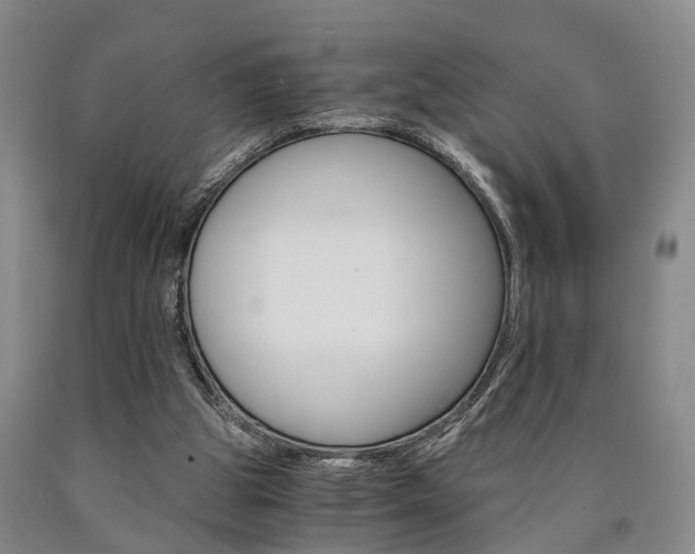 X0000090860153200707270941