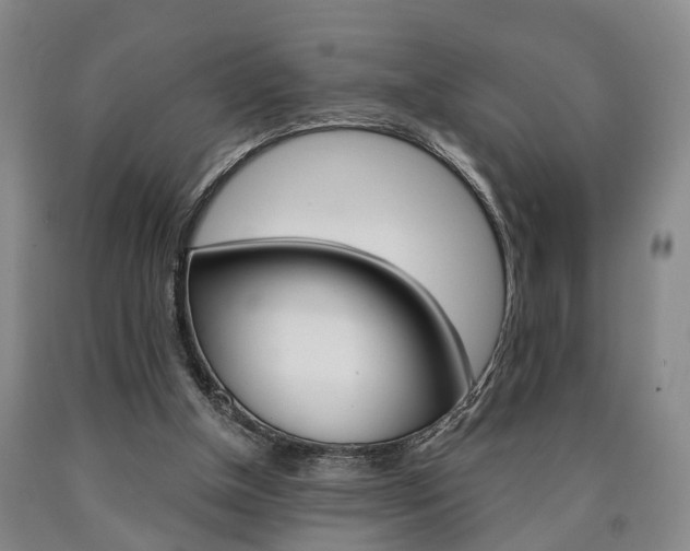 X0000090860154200707270941