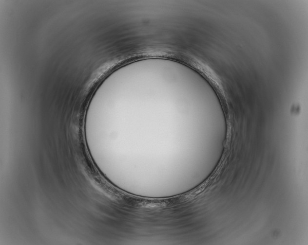 X0000090860155200707270941