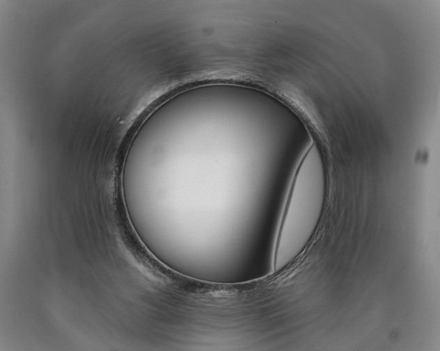 X0000090860156200707270941