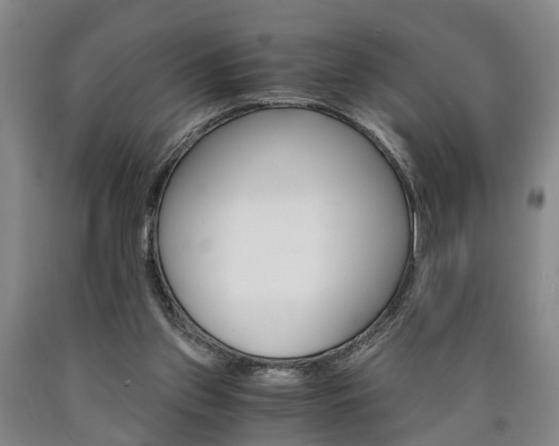 X0000090860157200707270941