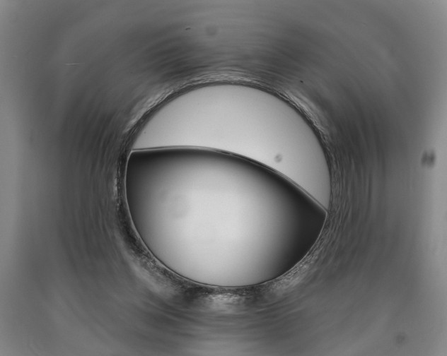 X0000090860158200707270941