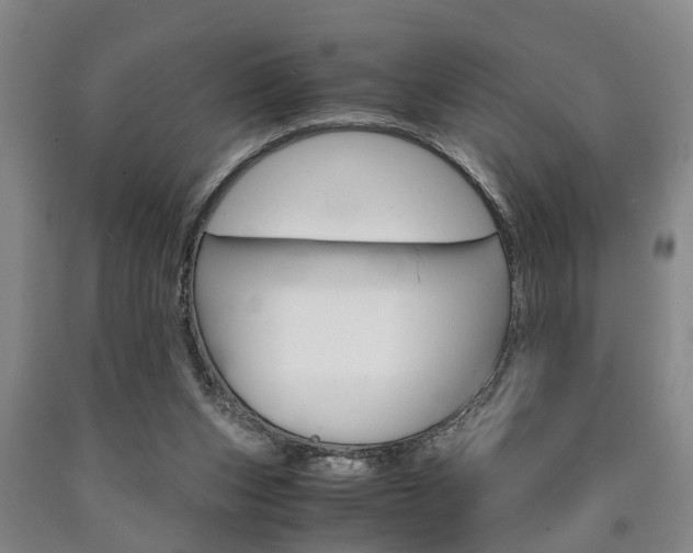 X0000090860159200707270941