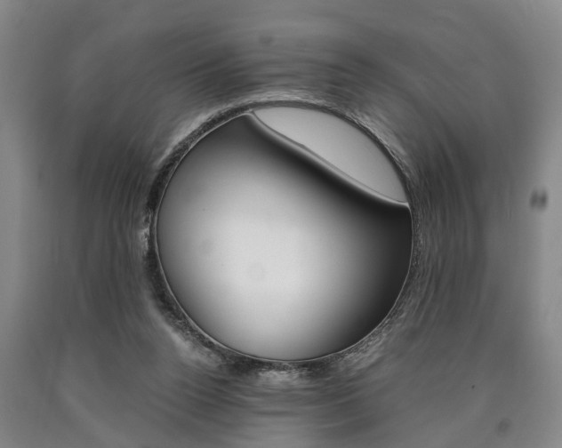 X0000090860160200707270941