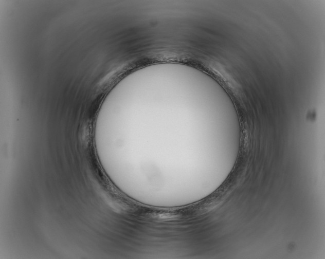 X0000090860165200707270941