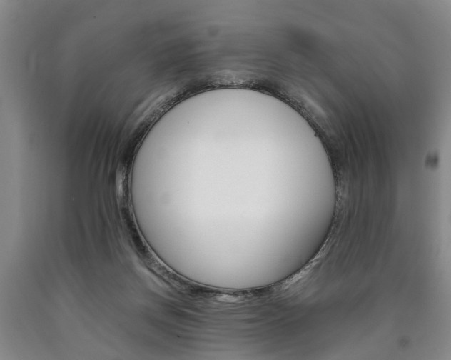 X0000090860166200707270941