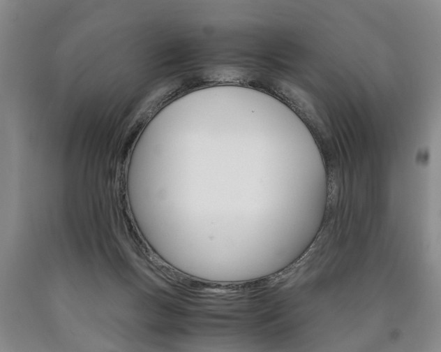 X0000090860167200707270941