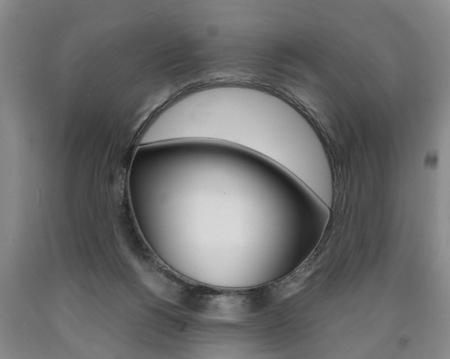X0000090860168200707270941