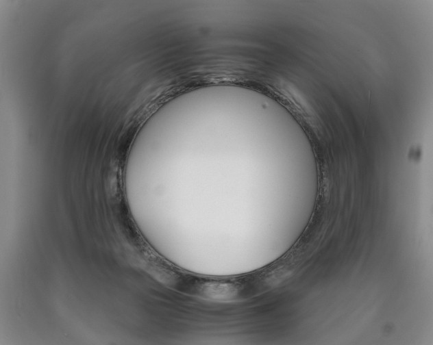 X0000090860169200707270941