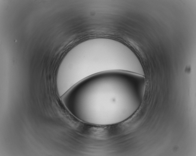 X0000090860170200707270941