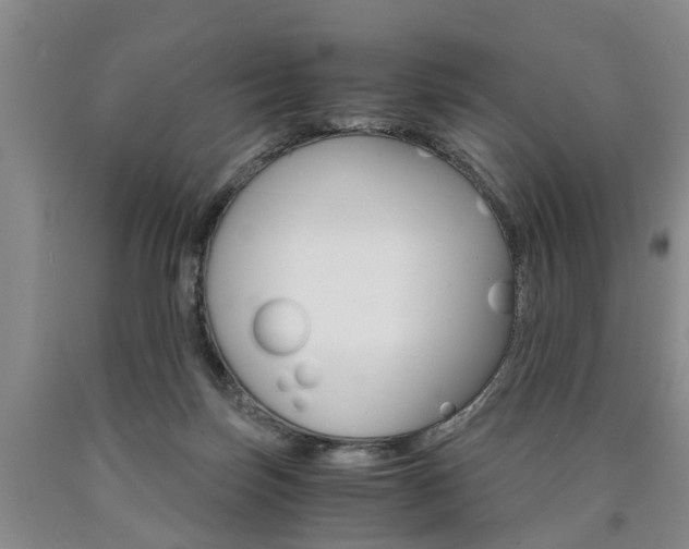 X0000090860171200707270941