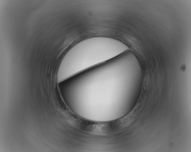 X0000090860172200707270941