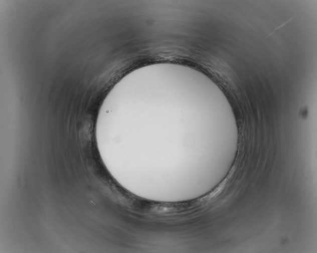X0000090860174200707270941