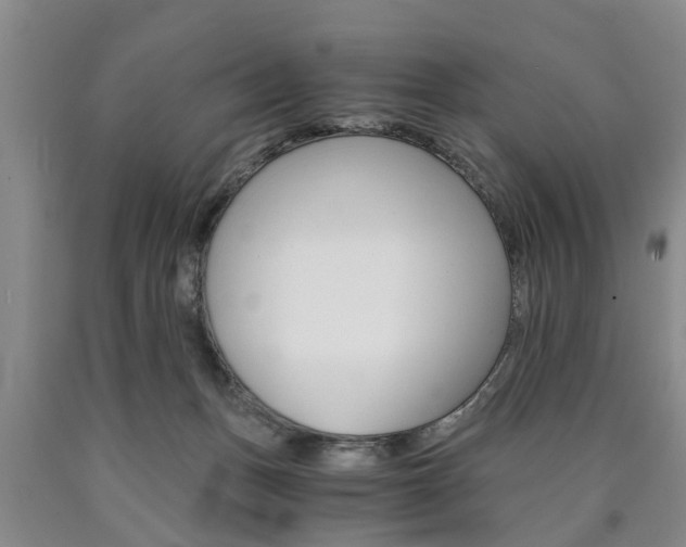 X0000090860175200707270941