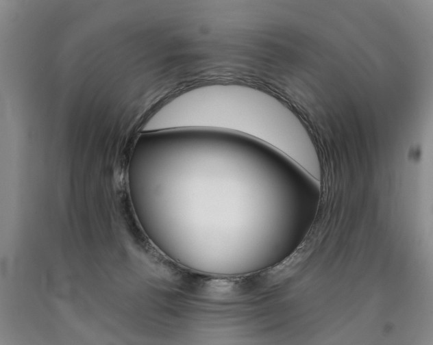 X0000090860176200707270941