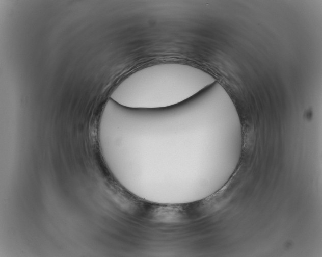 X0000090860179200707270941