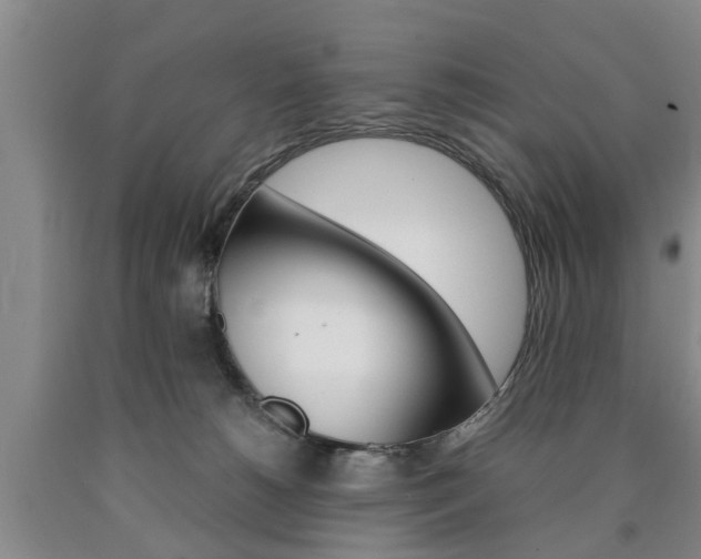 X0000090860180200707270941